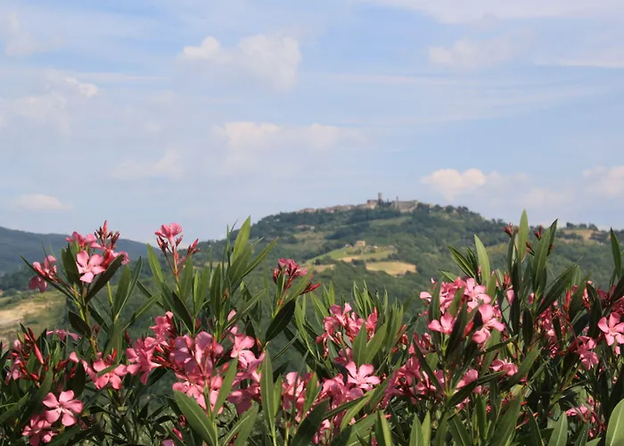 Materno Radicondoli
